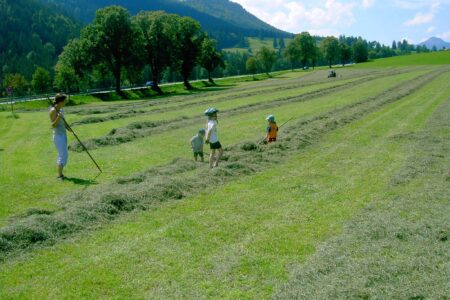 Fleißige Erntehelfer