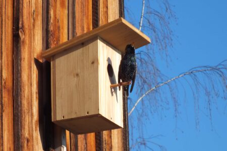 Wer mag mit einziehen?