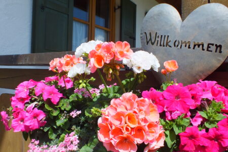 Wir laden Sie ein ....